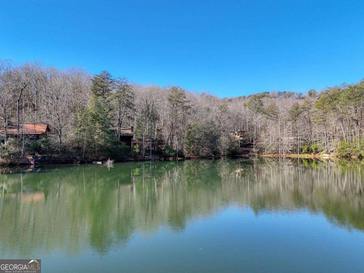 335 Cherry Lake Drive Blue Ridge - 60