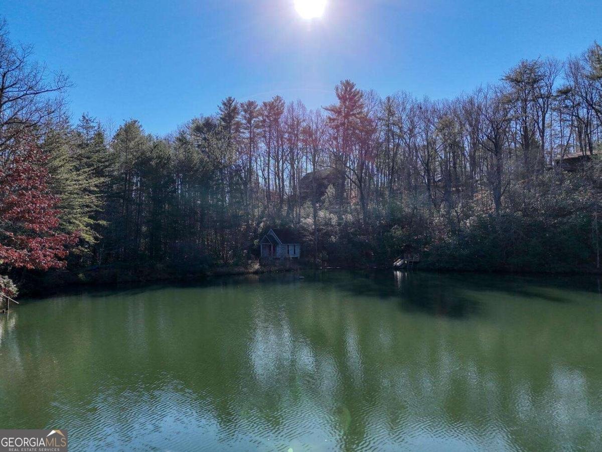 335 Cherry Lake Drive Blue Ridge - 61
