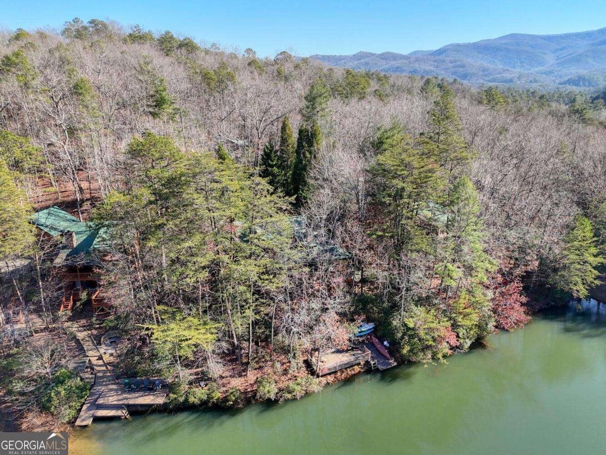 335 Cherry Lake Drive Blue Ridge - 63