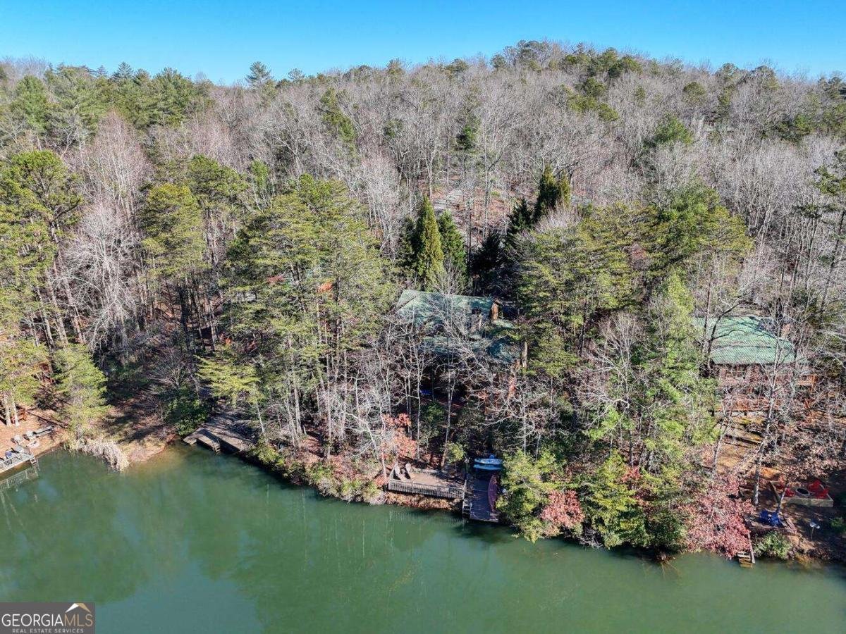 335 Cherry Lake Drive Blue Ridge - 64