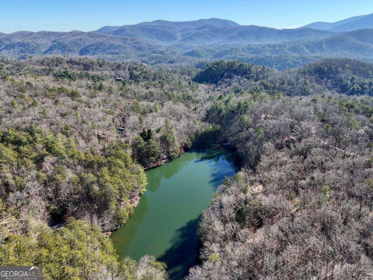 335 Cherry Lake Drive Blue Ridge - 65