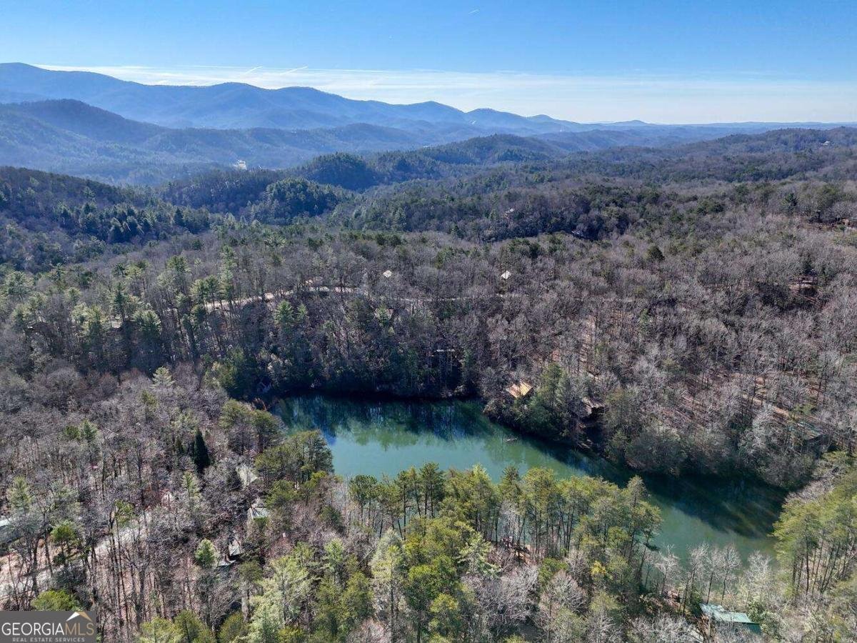 335 Cherry Lake Drive Blue Ridge - 66