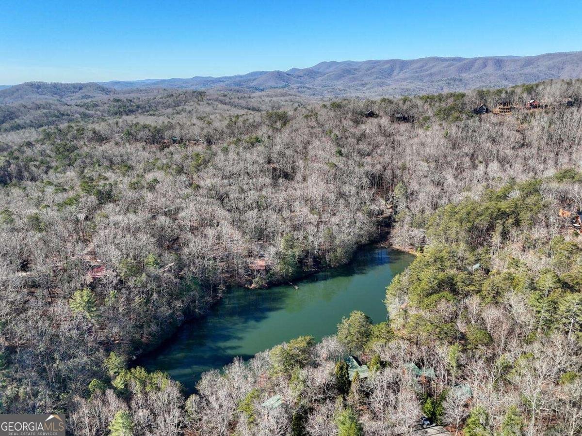 335 Cherry Lake Drive Blue Ridge - 67