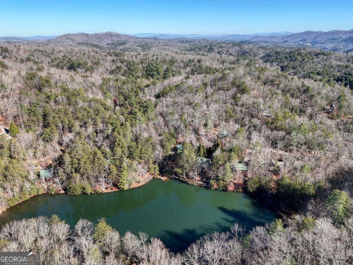335 Cherry Lake Drive Blue Ridge - 68
