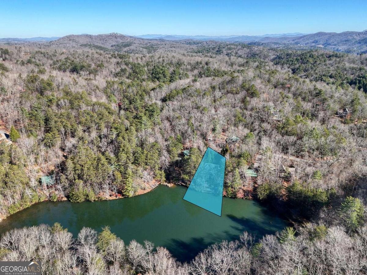 335 Cherry Lake Drive Blue Ridge - 69
