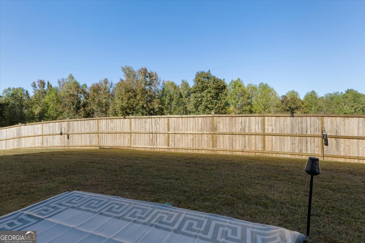 1171 Bodega Loop Locust Grove - 43