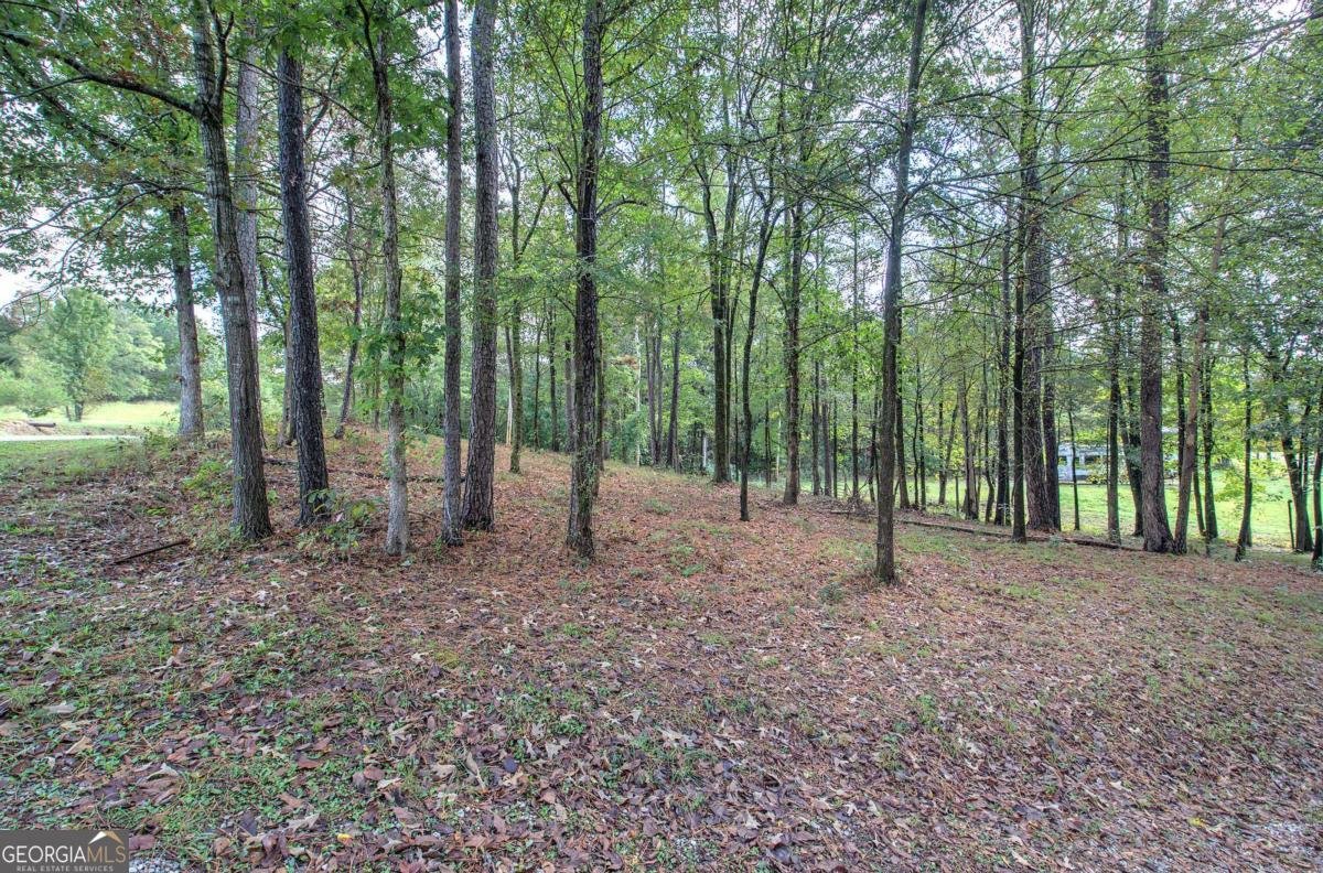 566 Old Grade Road Resaca - 54