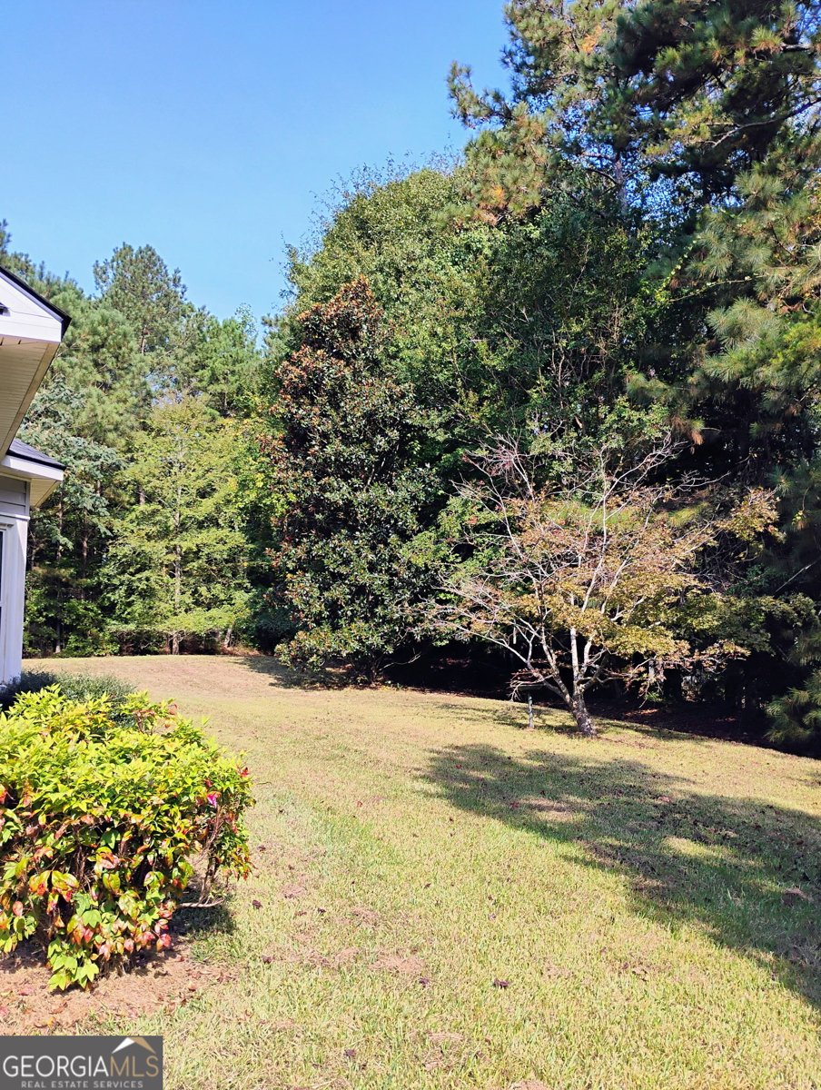 113 Wellington Drive Lagrange - 16
