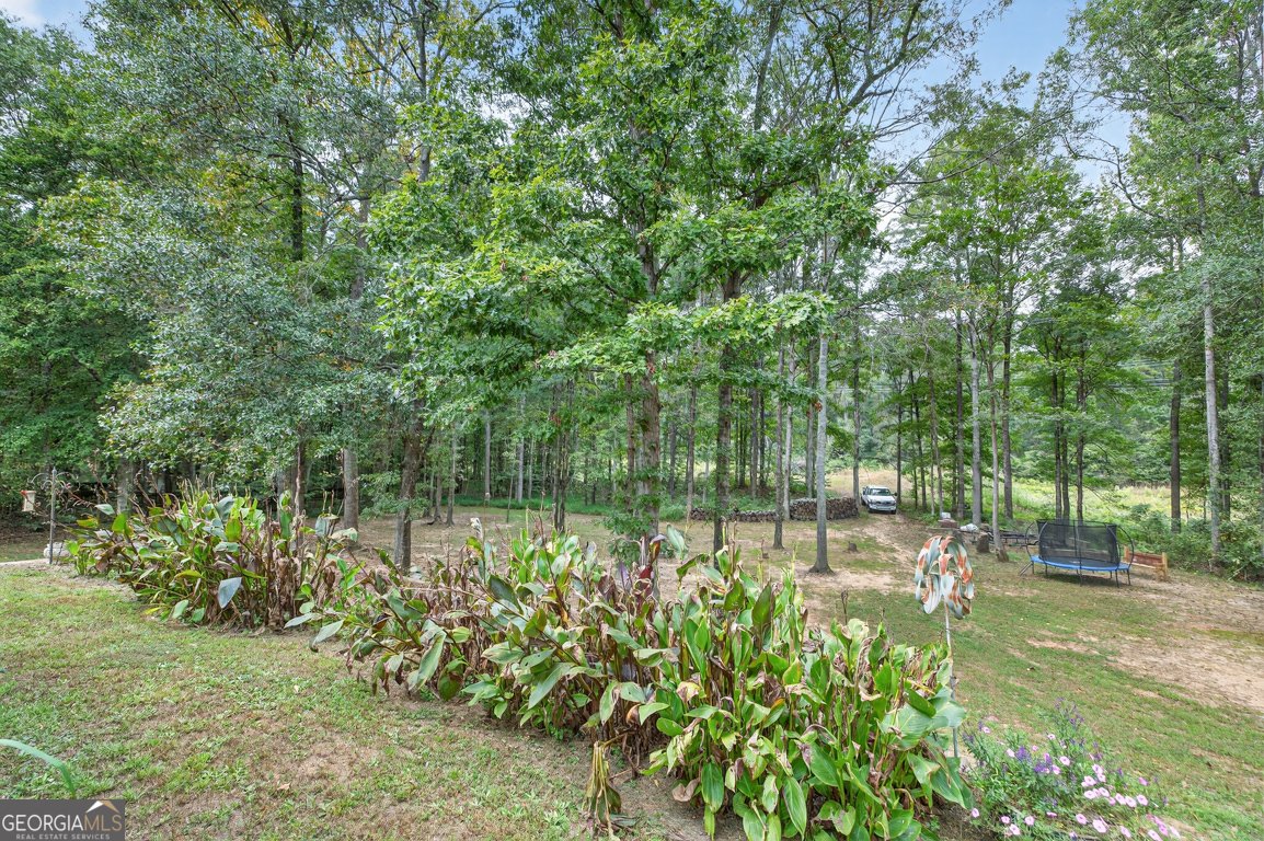 1143 Bradford Park Drive Auburn - 23