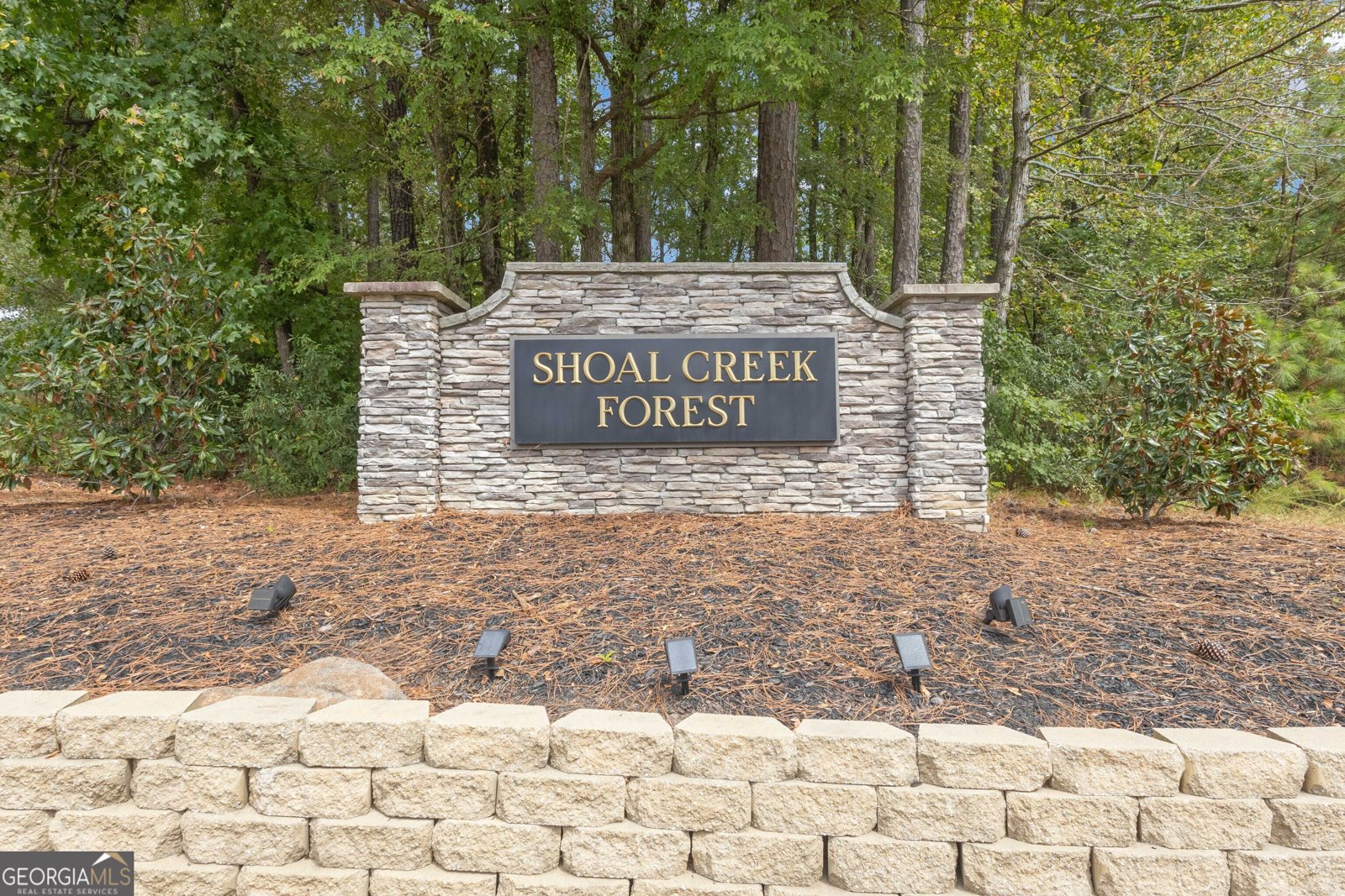 195 Mapledale Trail Sharpsburg - 69