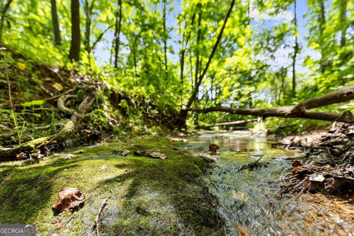 120 Brookhaven Trail Blue Ridge - 10