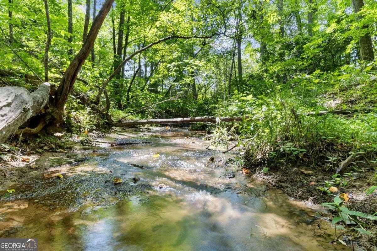 120 Brookhaven Trail Blue Ridge - 11