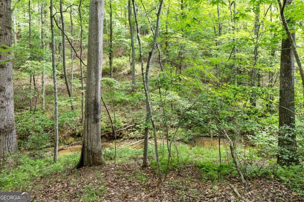 120 Brookhaven Trail Blue Ridge - 12