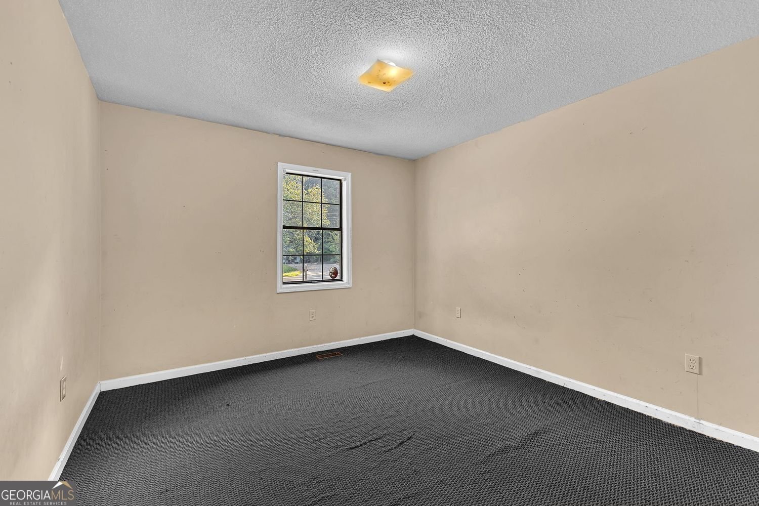 565 Lacebark Drive Macon - 20