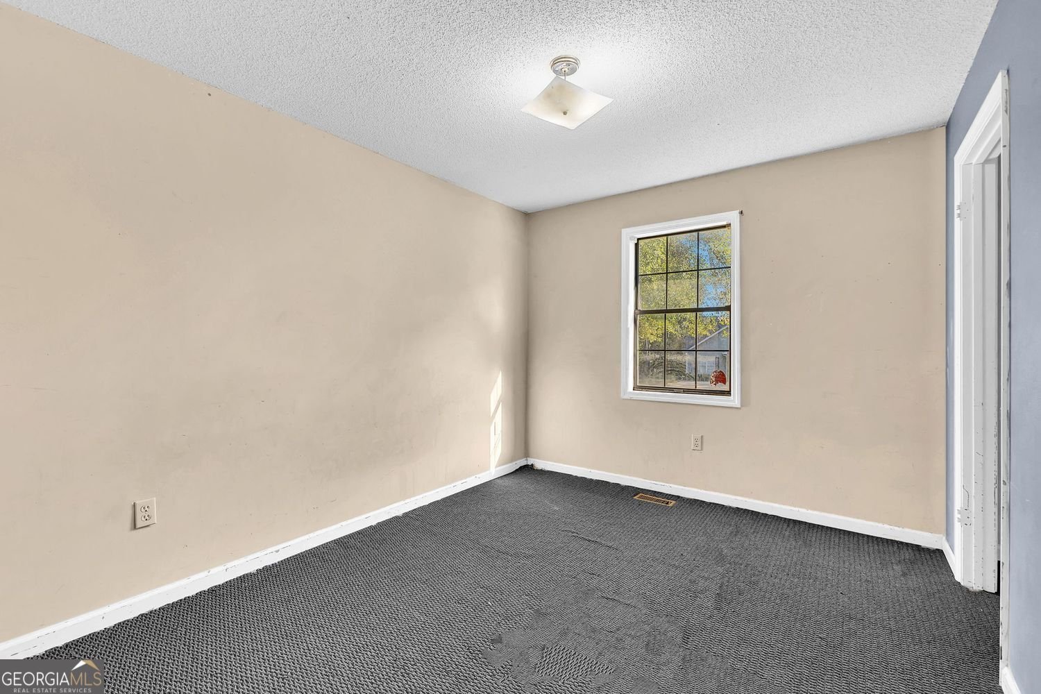 565 Lacebark Drive Macon - 23