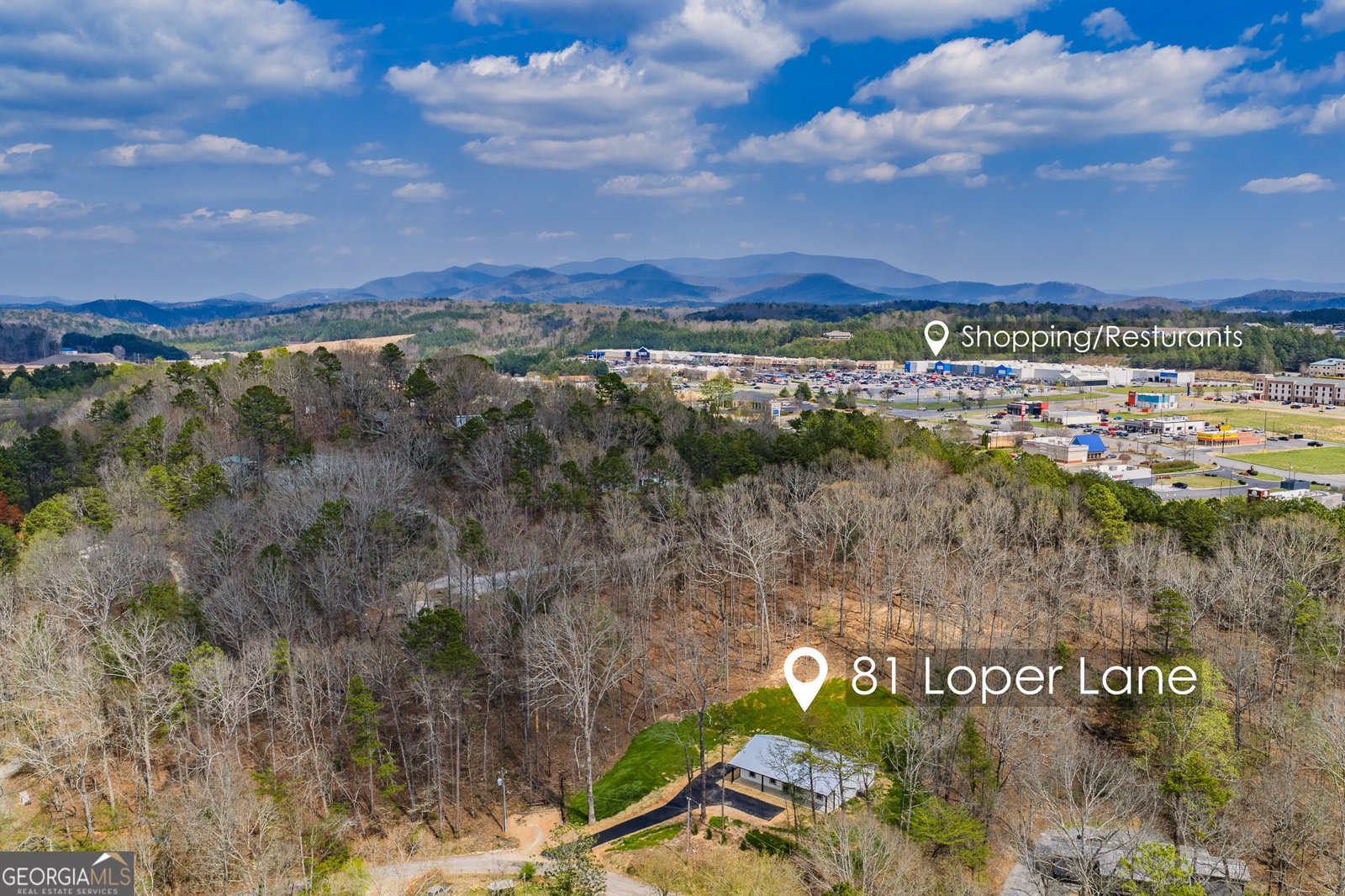 81 Loper Lane Ellijay - Photo 7