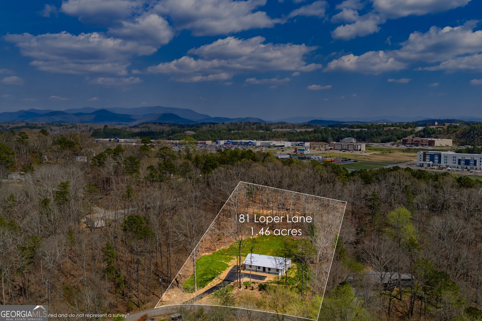 81 Loper Lane Ellijay - Photo 9