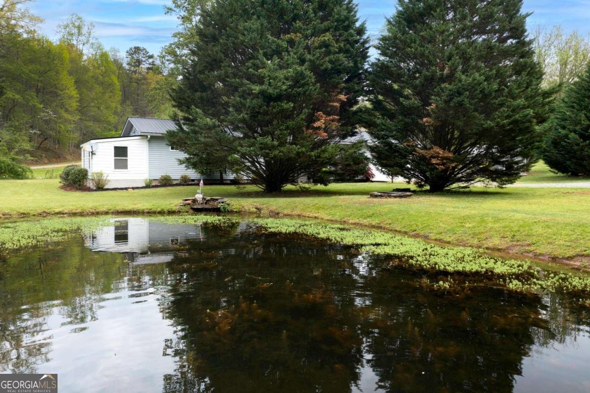 6491 Crooked Creek Road Young Harris - 10