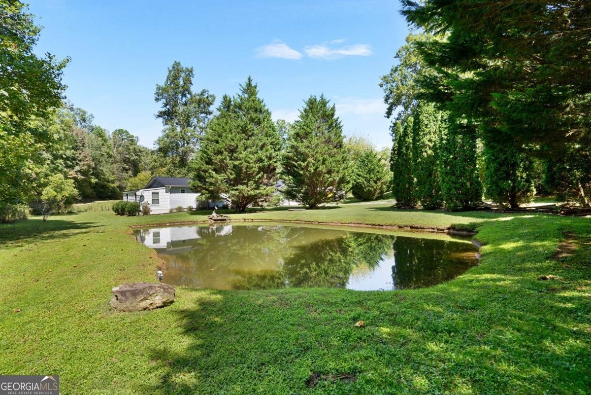 6491 Crooked Creek Road Young Harris - 5