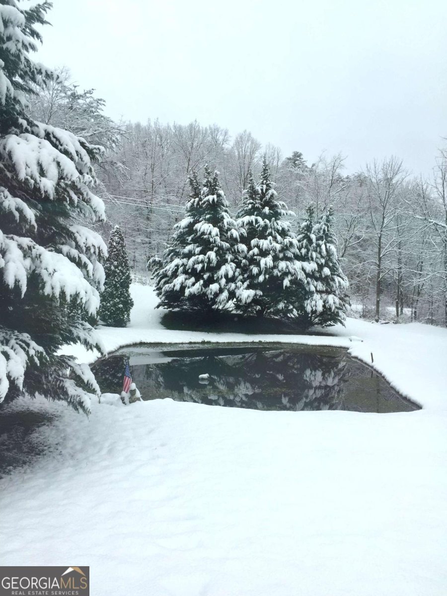 6491 Crooked Creek Road Young Harris - 68