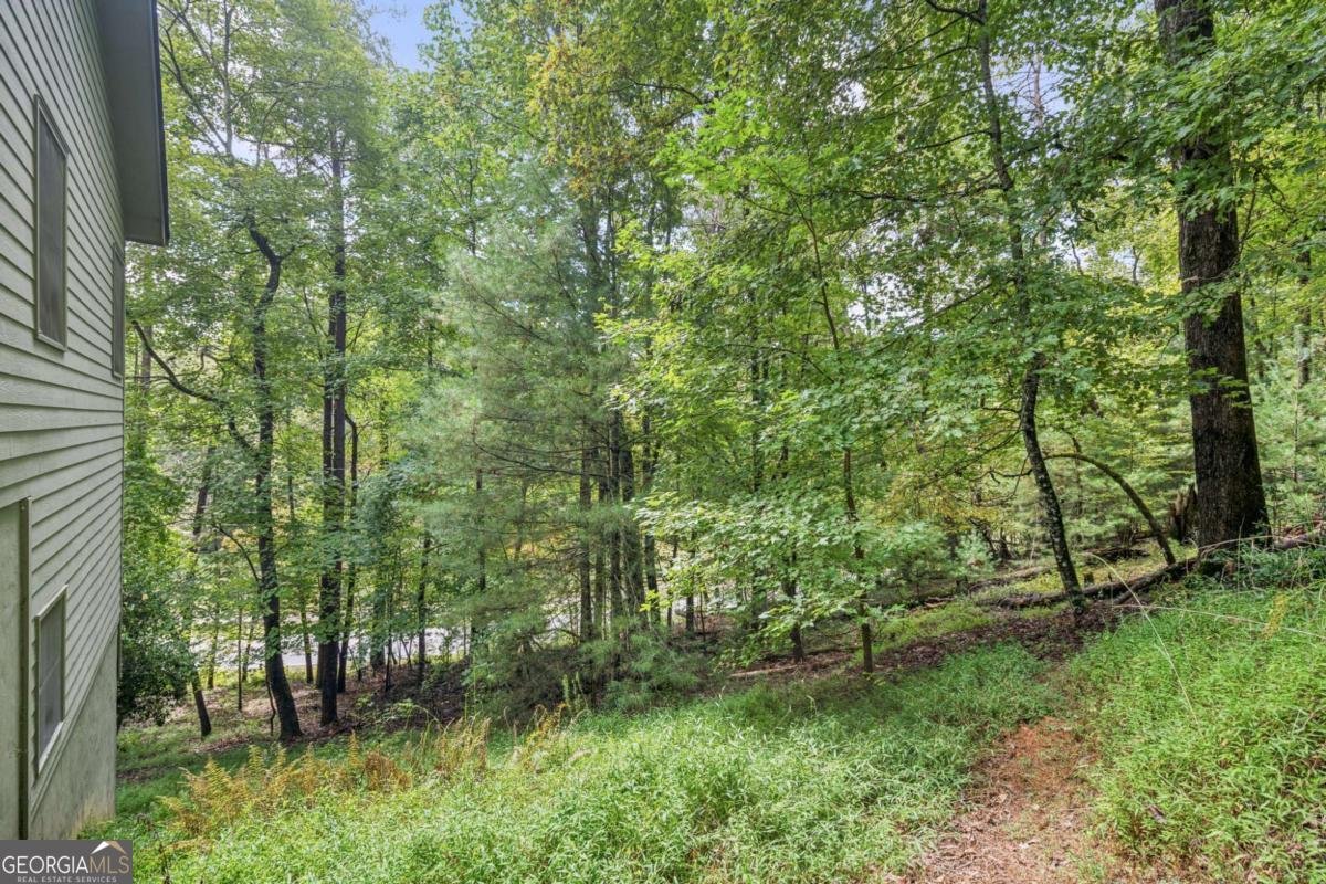916 Sautee Trail Sautee Nacoochee - 10