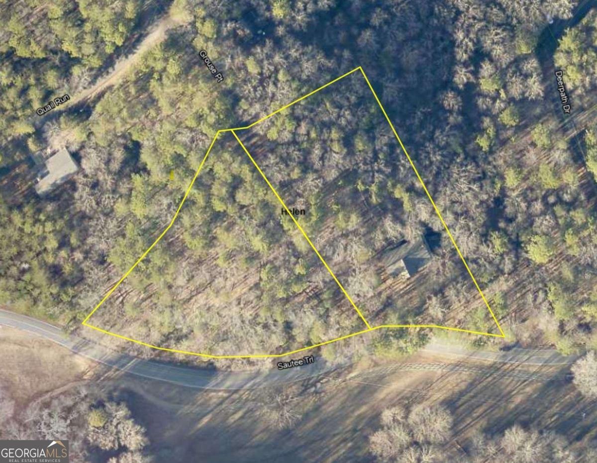 916 Sautee Trail Sautee Nacoochee - 25