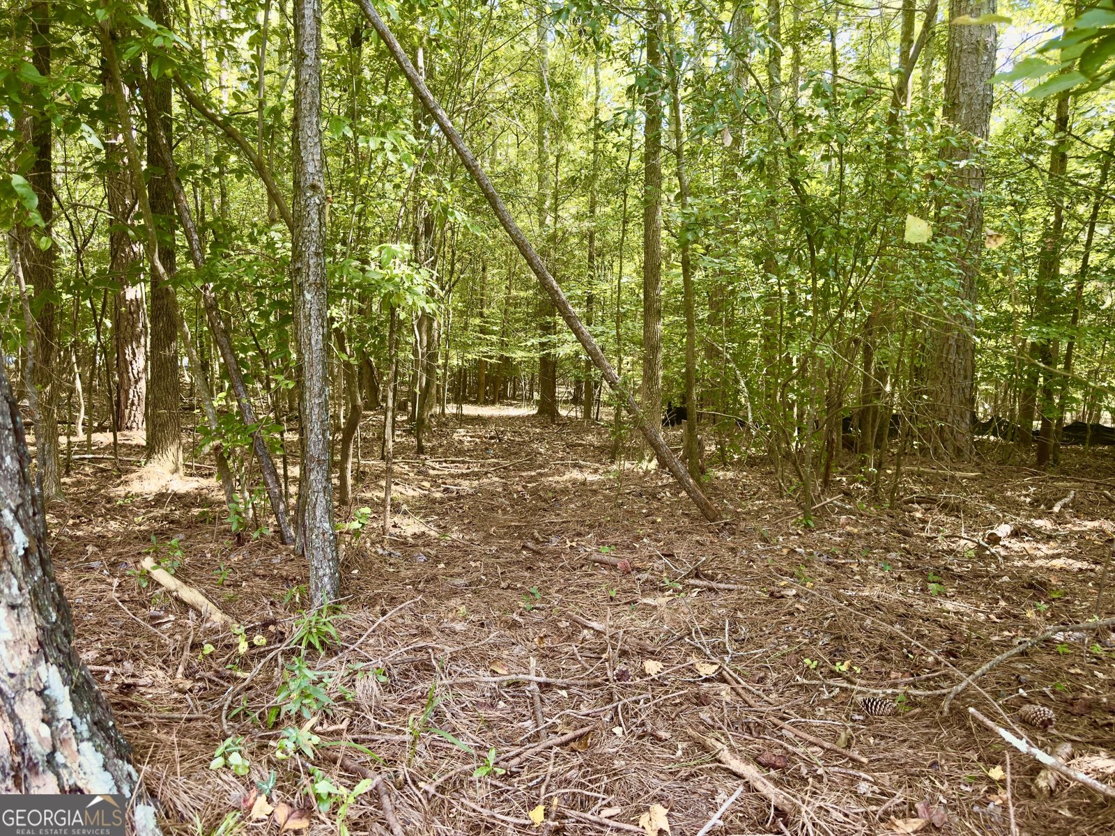 808 Rock Forge Road Jefferson - 24