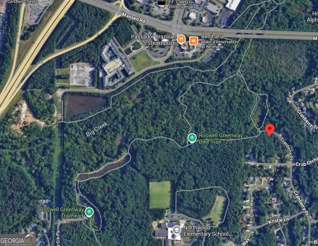 500 Cranberry Place Roswell - 33