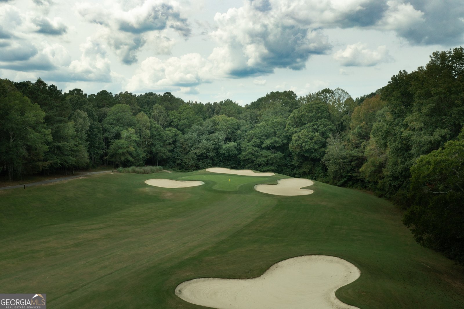 239 Masters Drive Peachtree City - 55