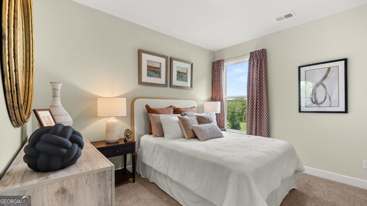 315 Staffin Drive Senoia - 11
