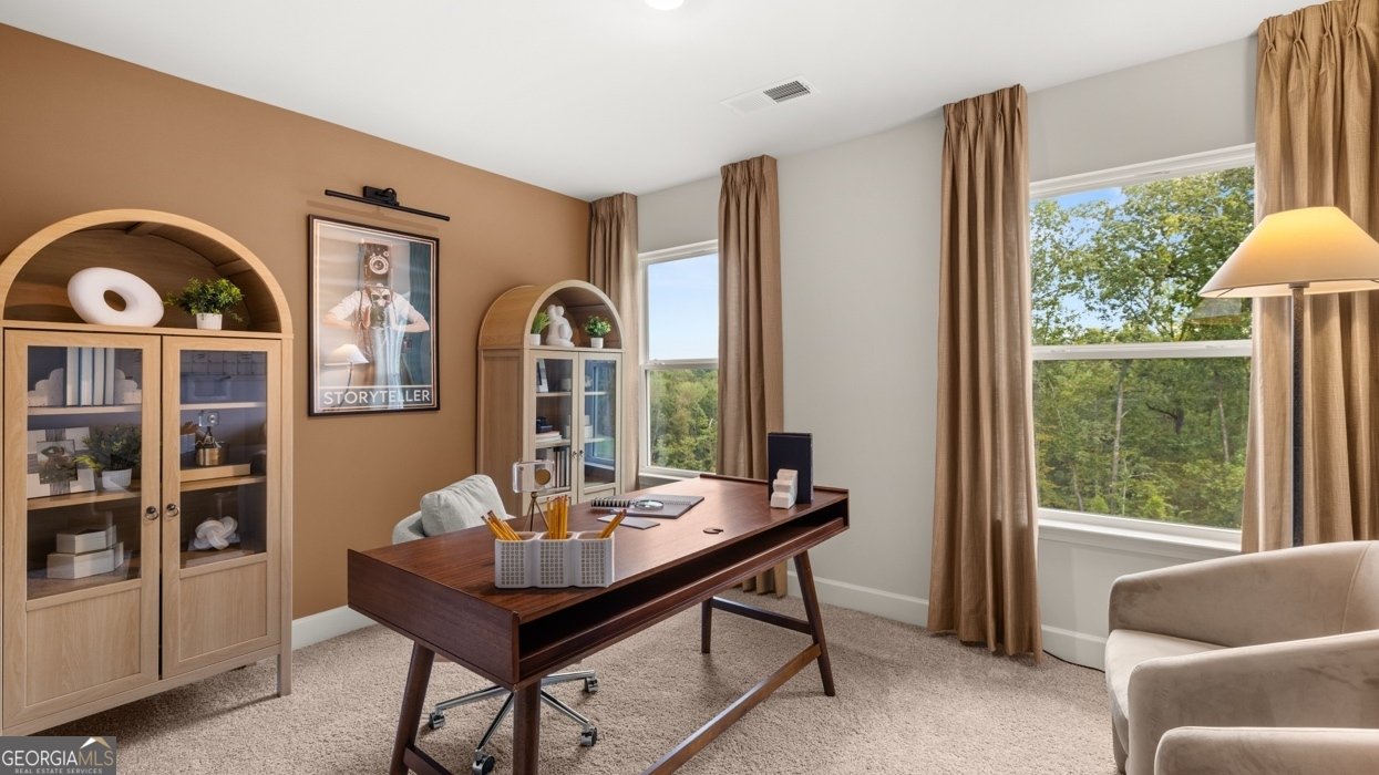 315 Staffin Drive Senoia - 18