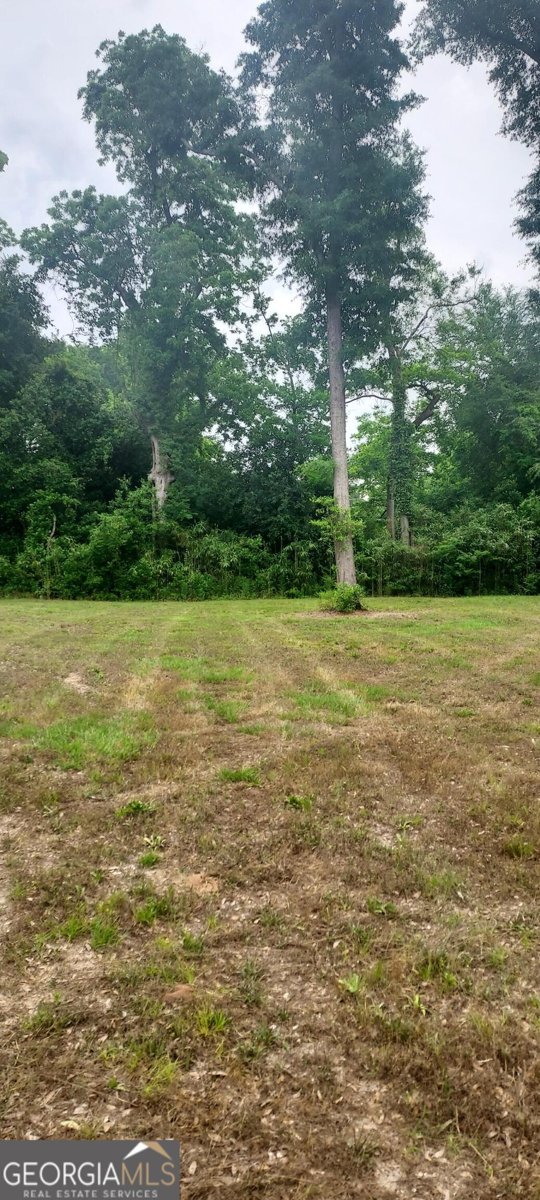 415 Charles Street Bainbridge - 9