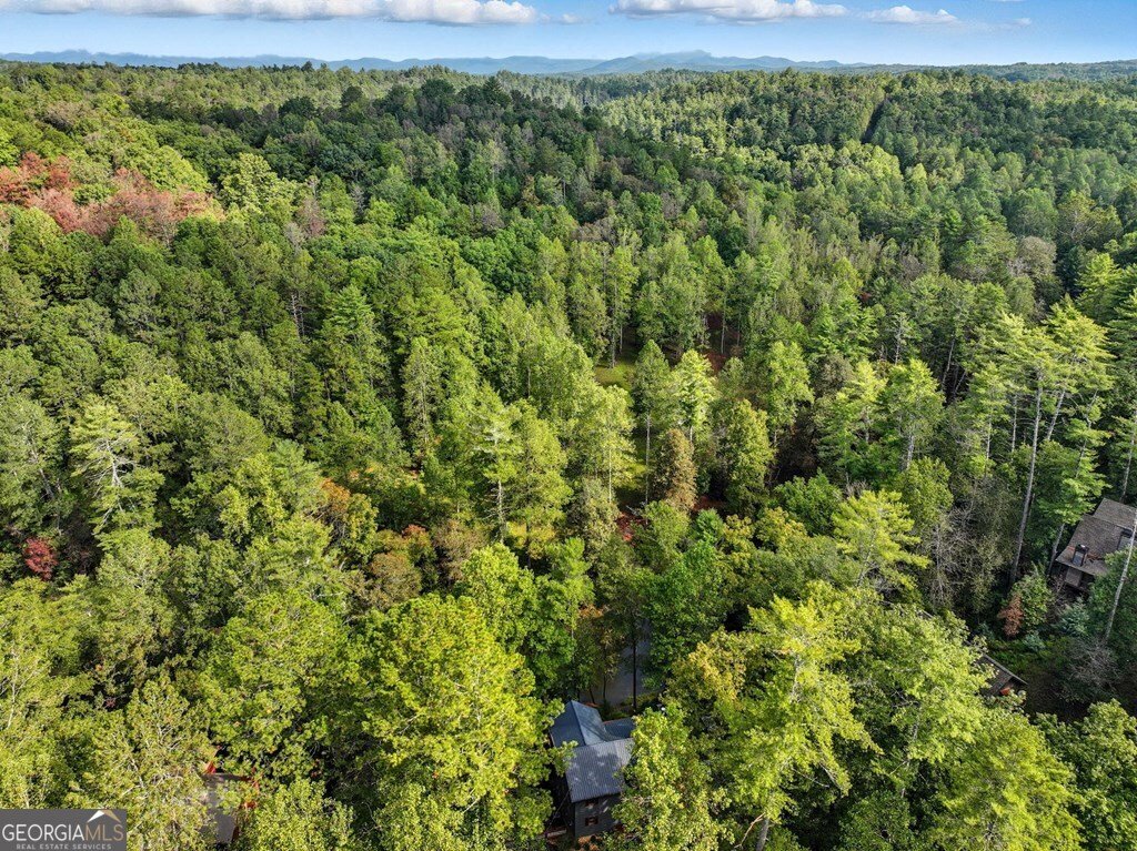 452 Ashley Drive Ellijay - 20