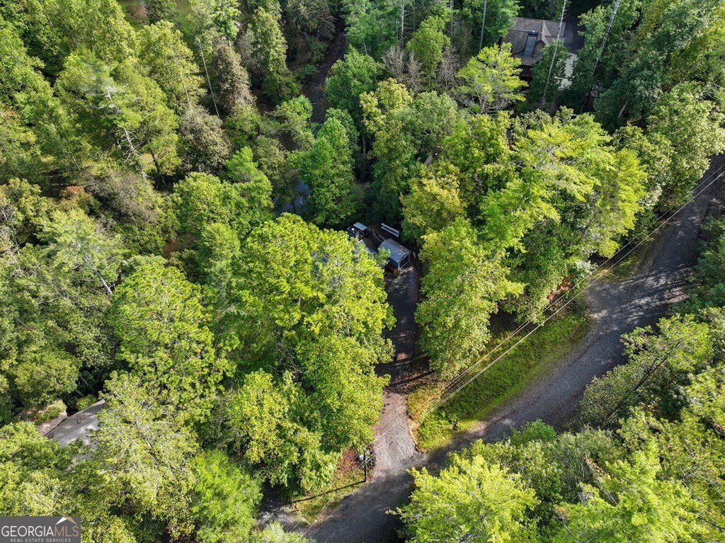 452 Ashley Drive Ellijay - 21