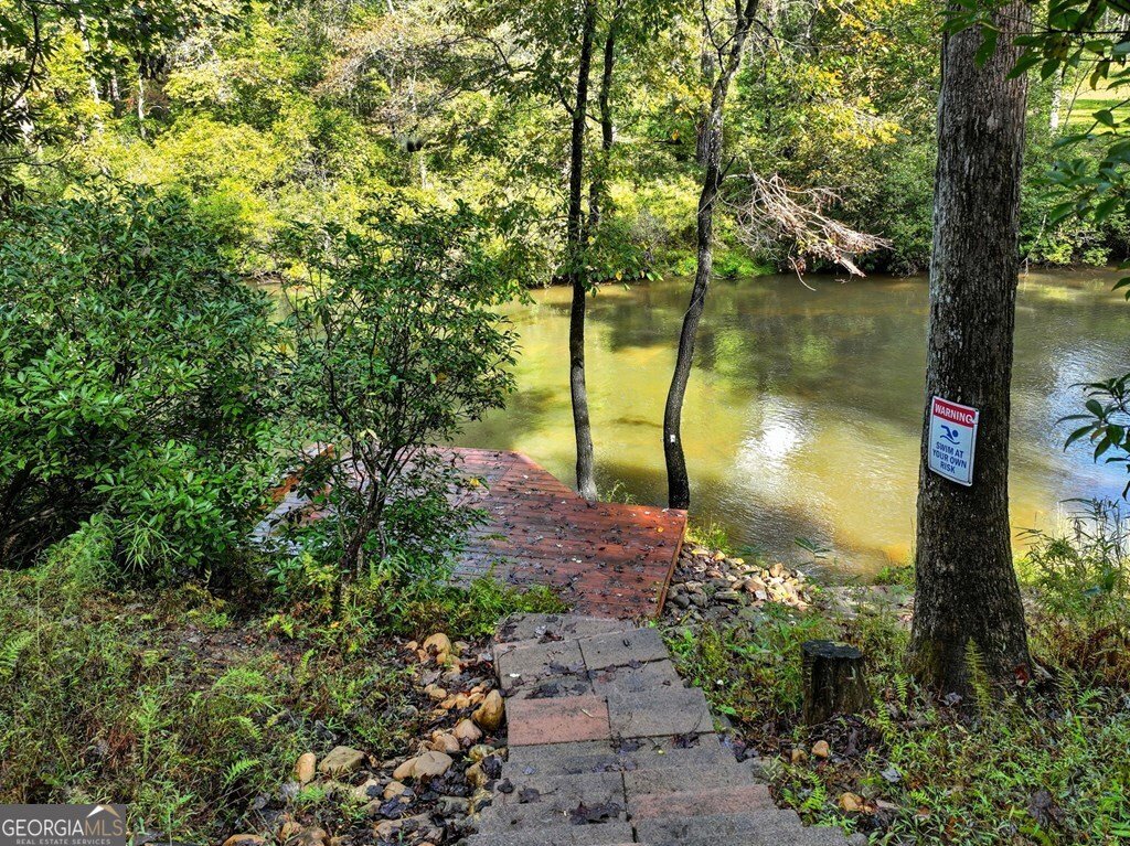 452 Ashley Drive Ellijay - 26