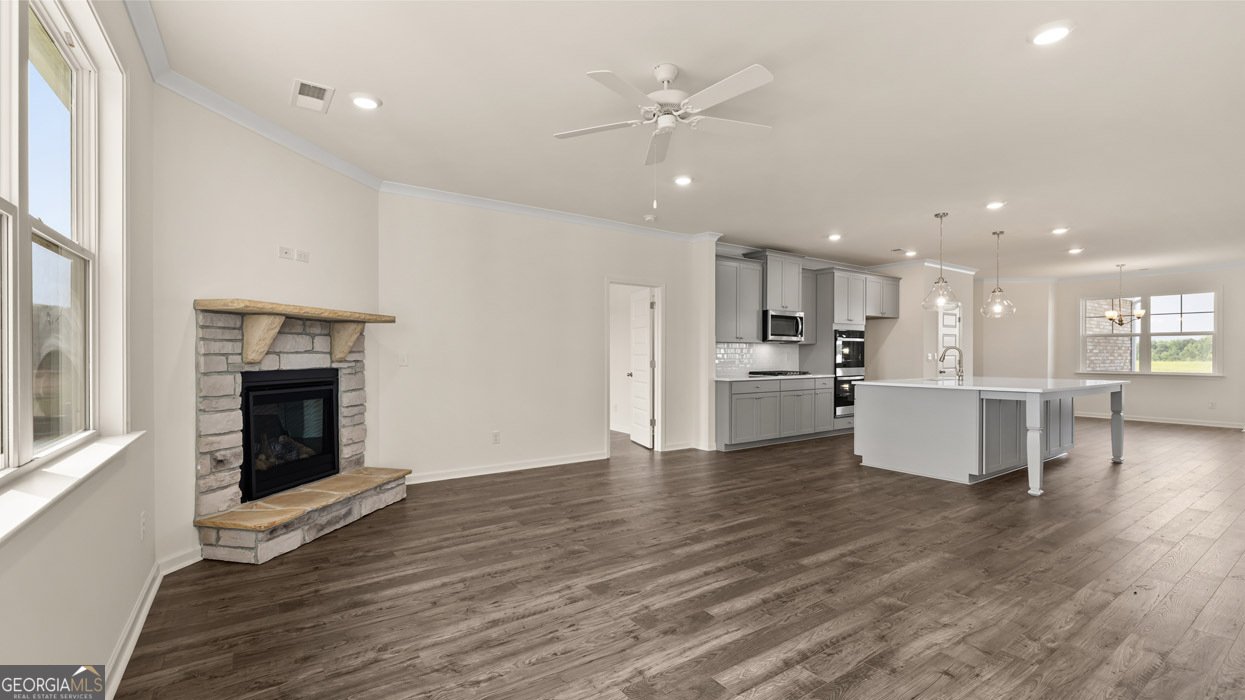 265 Staffin Drive Senoia - 16