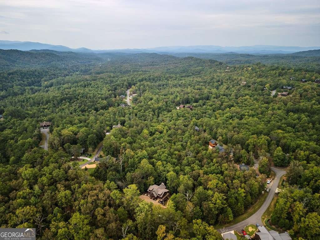 658 Highland Gap Mineral Bluff - 44