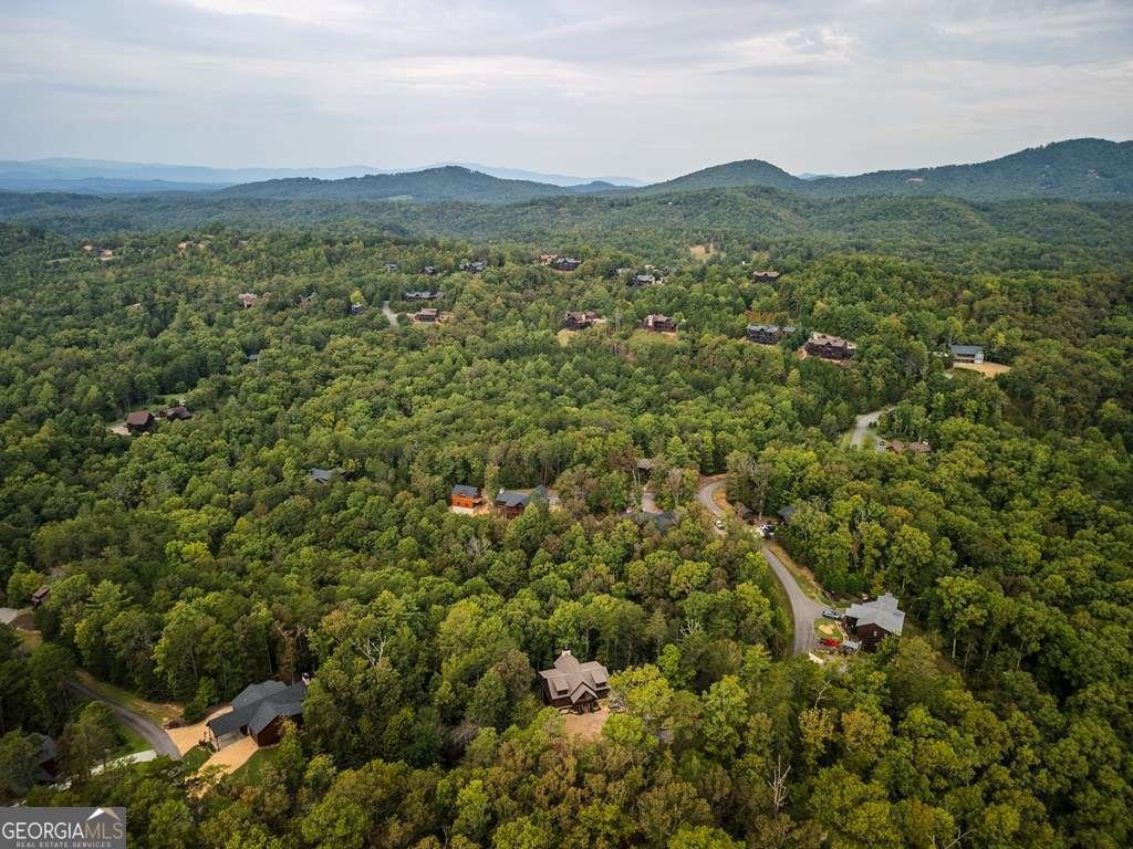 658 Highland Gap Mineral Bluff - 45