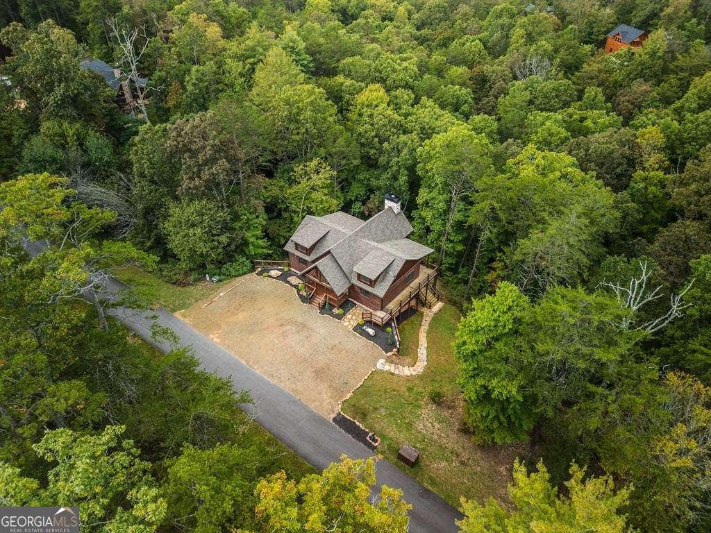 658 Highland Gap Mineral Bluff - 46