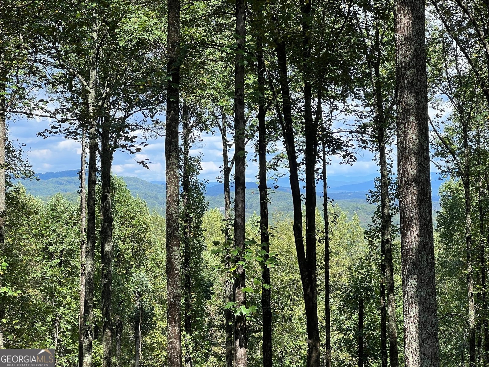 391 Little Bushy Head Road Blue Ridge - 16