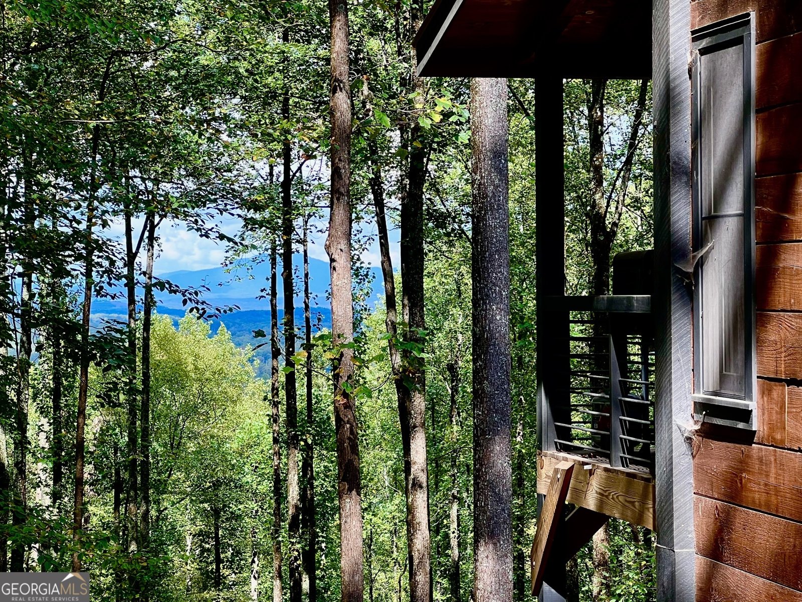 391 Little Bushy Head Road Blue Ridge - 25