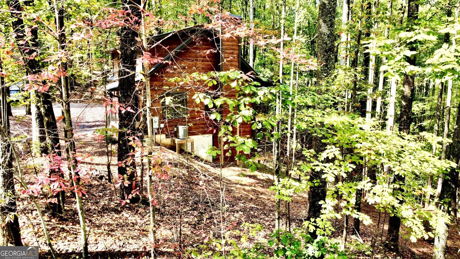 391 Little Bushy Head Road Blue Ridge - 27