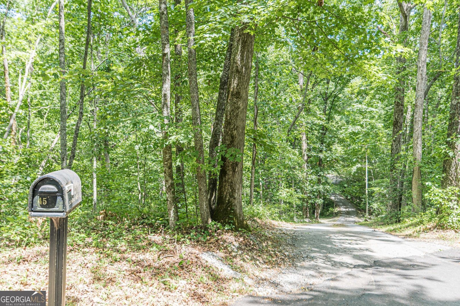 45 Chestatee River Ridge Dahlonega - 69