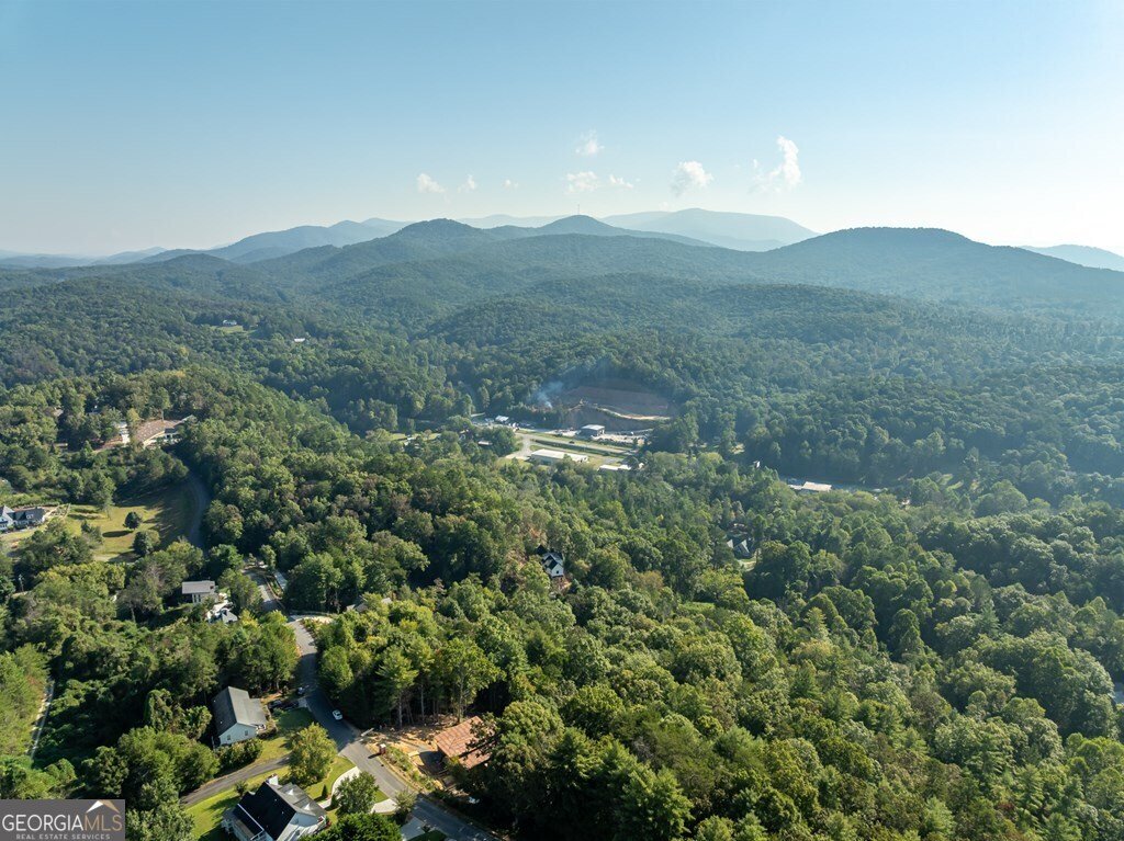 216 Old Orchard Road Ellijay - 11