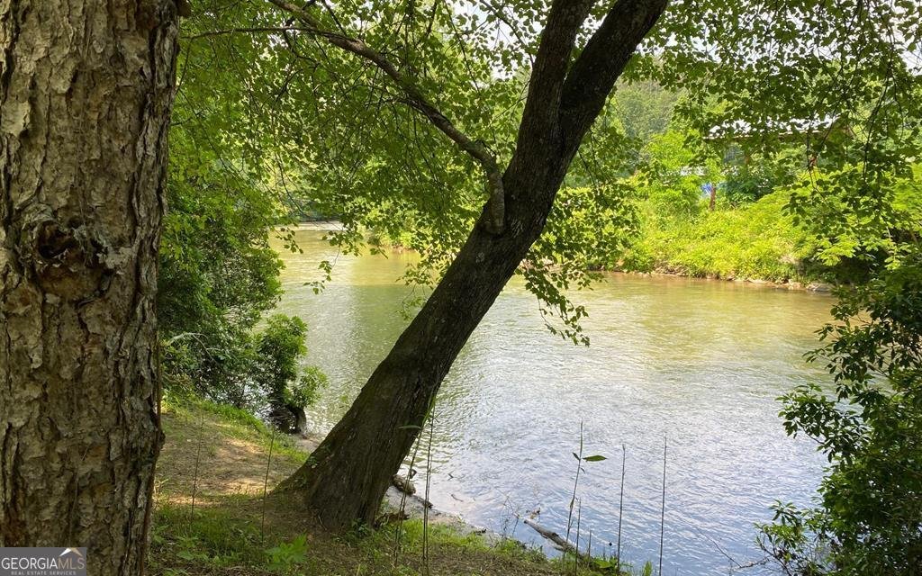 216 Old Orchard Road Ellijay - 19