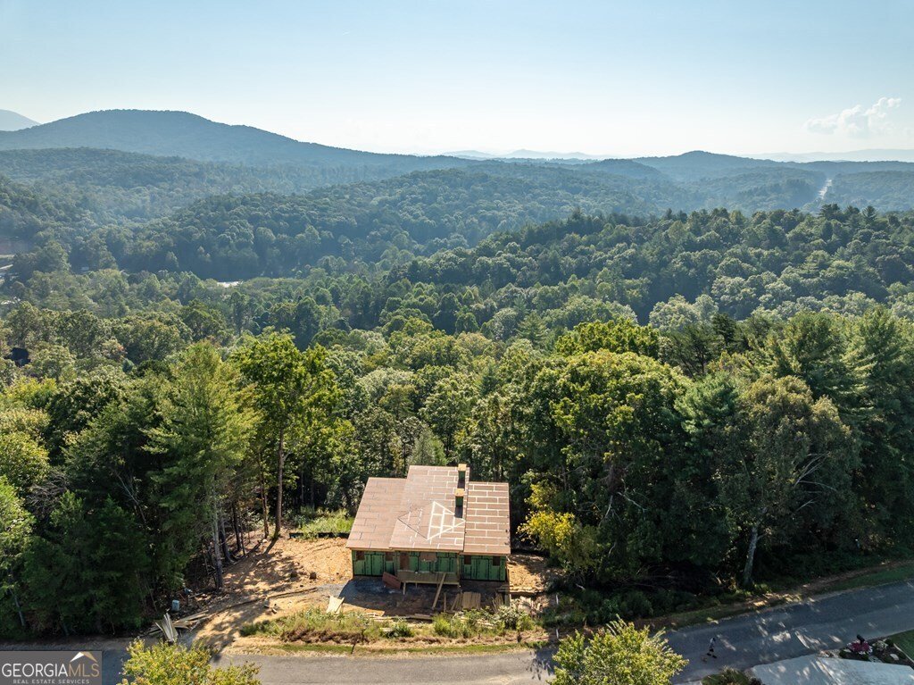 216 Old Orchard Road Ellijay - 7