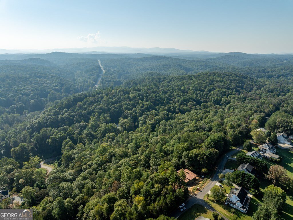 216 Old Orchard Road Ellijay - 8