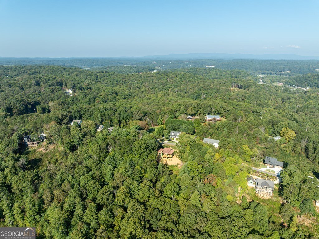 216 Old Orchard Road Ellijay - 9