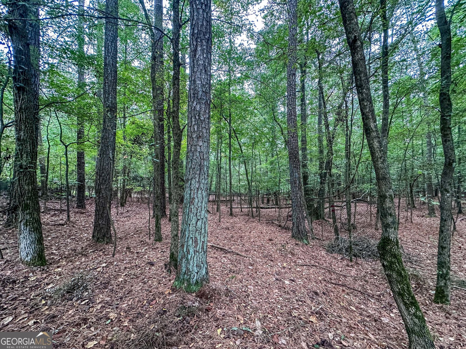 5019 George Washington Avenue Acworth - 44