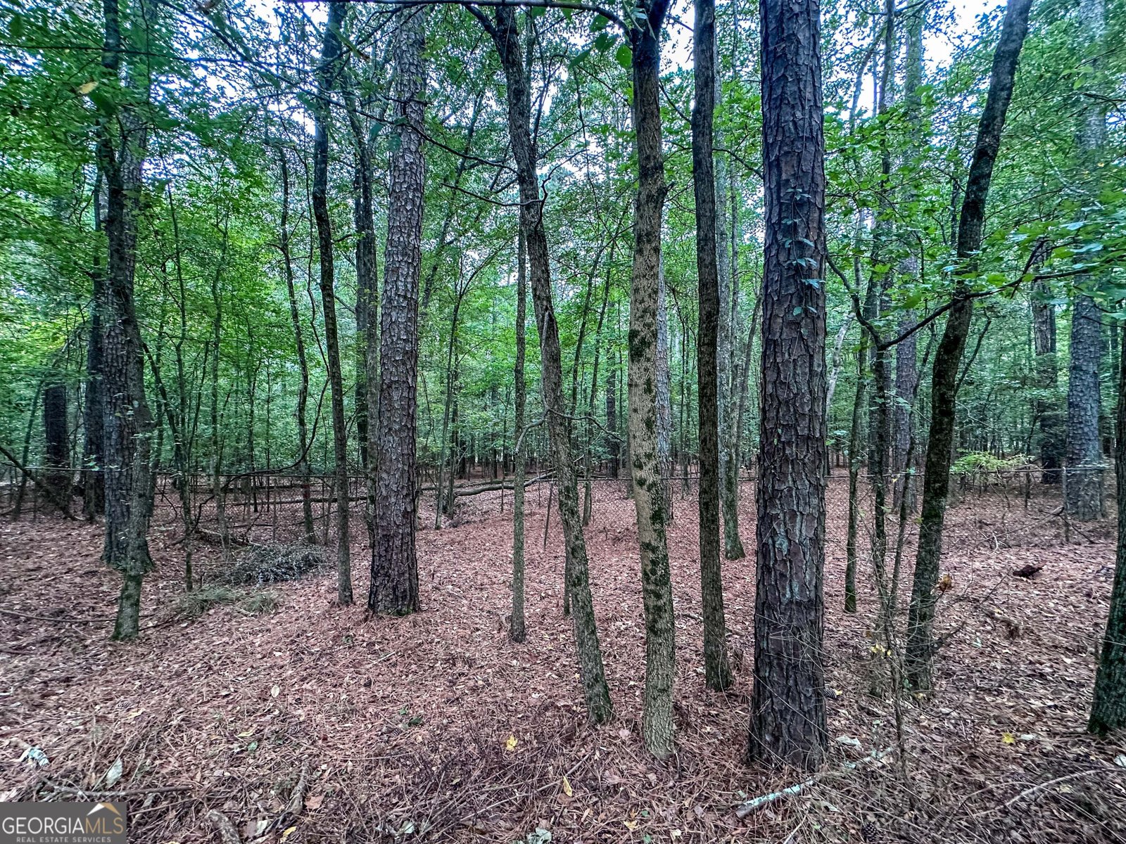 5019 George Washington Avenue Acworth - 54